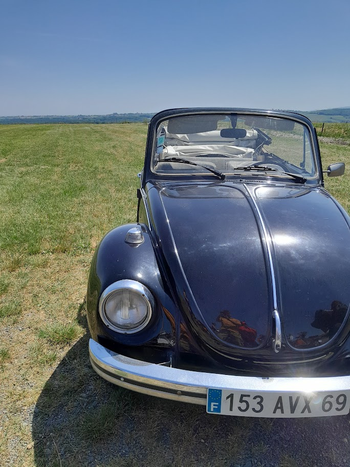 Location coccinelle