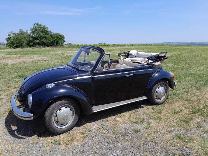 Location coccinelle cox ancienne